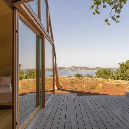 De Xaras - Margarida