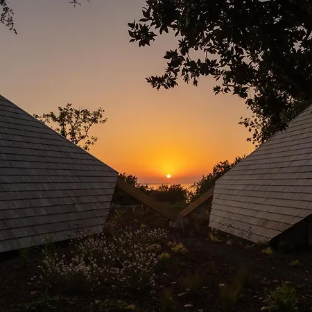 De Xaras - Margarida * Marín