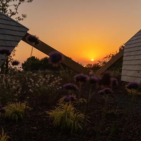 De Xaras - Margarida * Marín