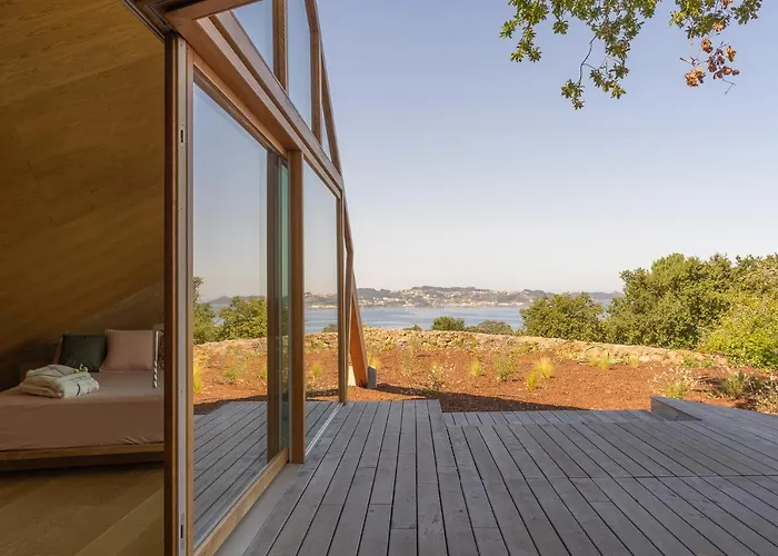 De Xaras - Margarida