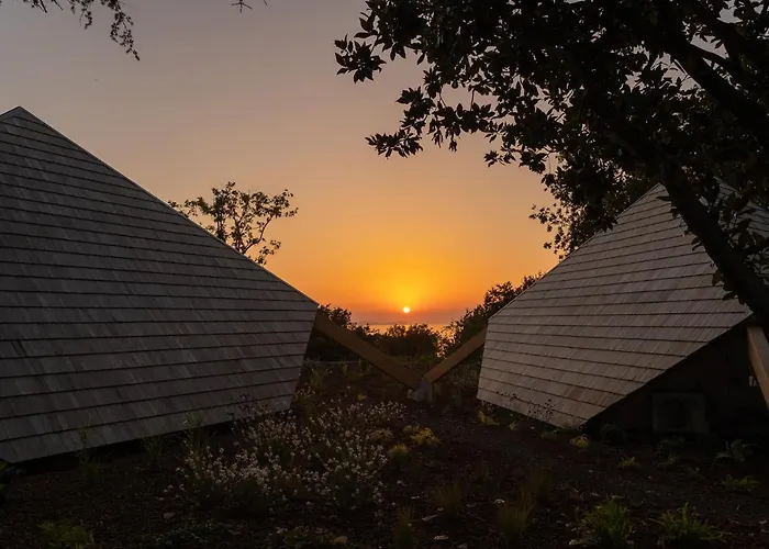 De Xaras - Margarida * Marín