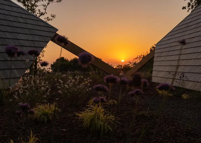 De Xaras - Margarida * Marín