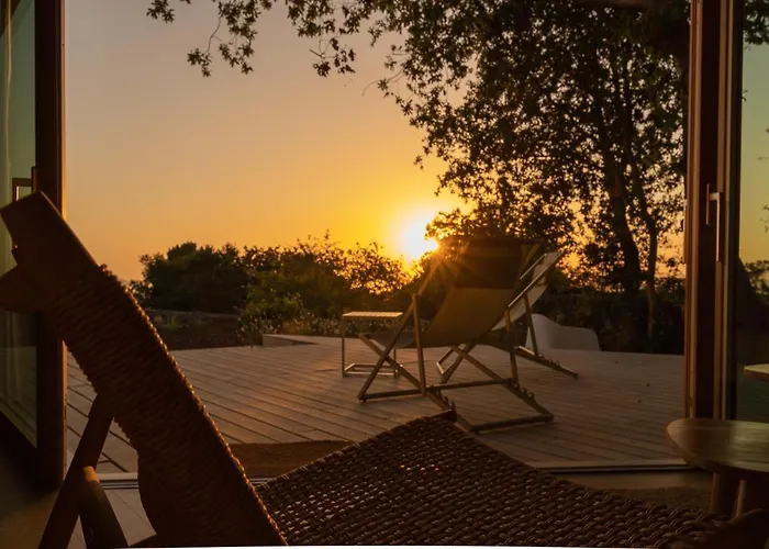 De Xaras - Margarida Marín